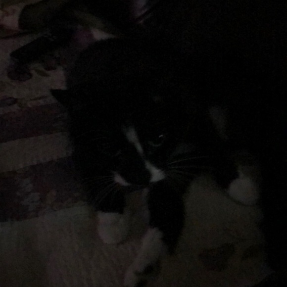 Meet your Posher, Karen - Picture 1 of 1